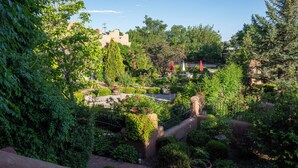 A lush garden with various plants and a brick pathway.