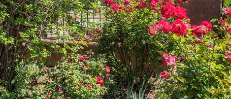 Un jardín con una fuente de piedra, abundante follaje y flores rojas.