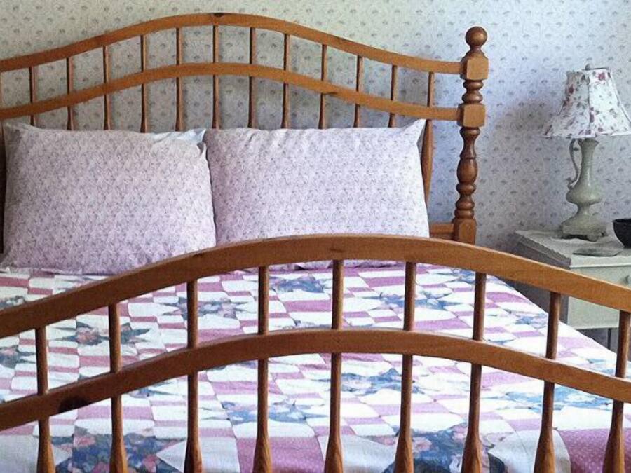 A bed with a wooden headboard, two pillows, and a patterned quilt. There are two bedside tables with lamps and a small plant on one.