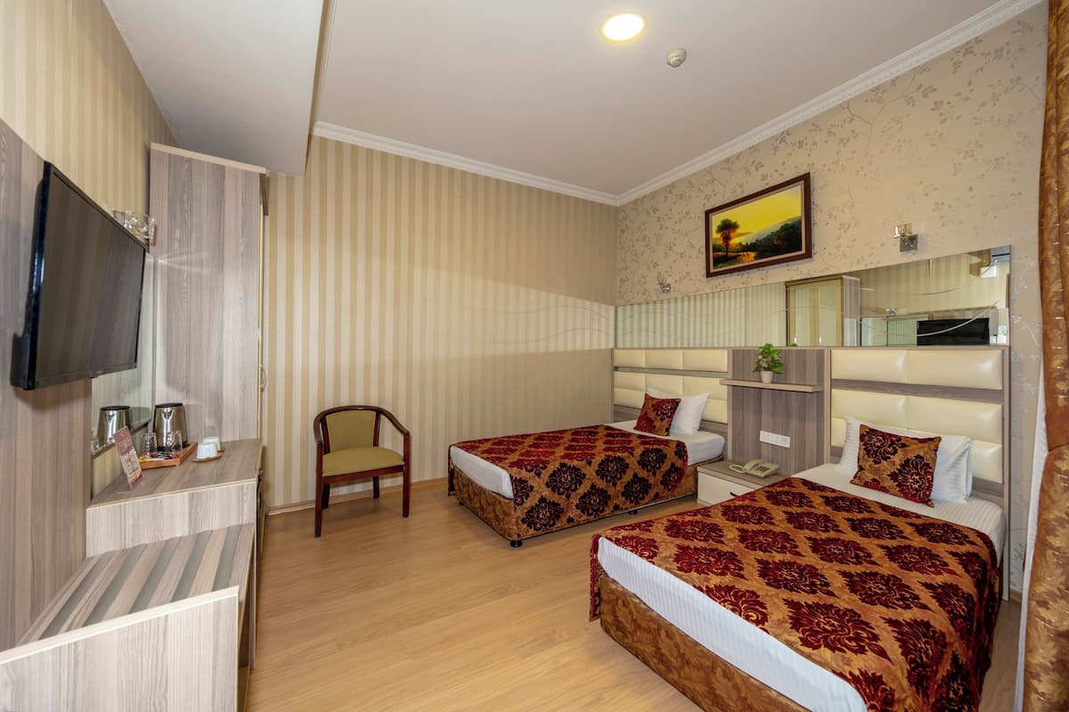 Classic Twin Room