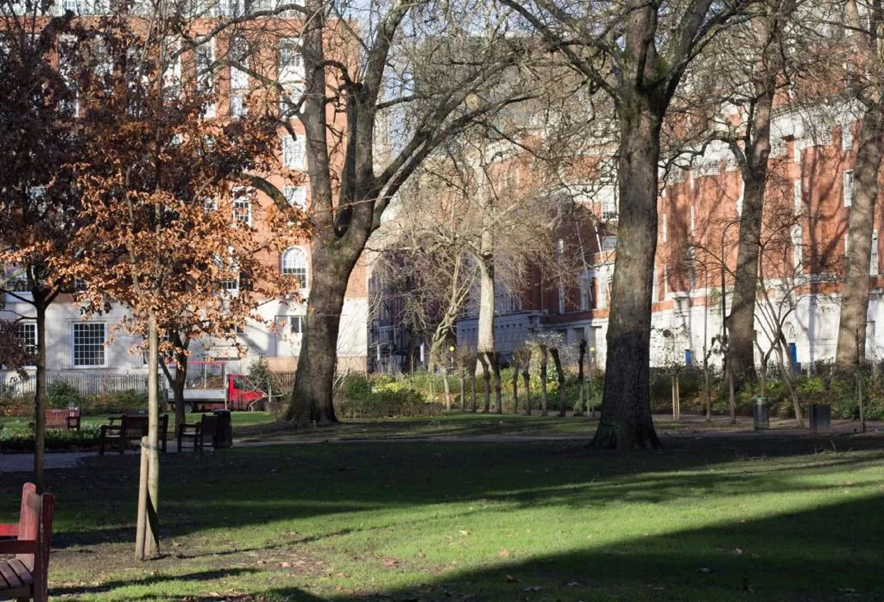 Un parque con árboles y un banco, rodeado de edificios.