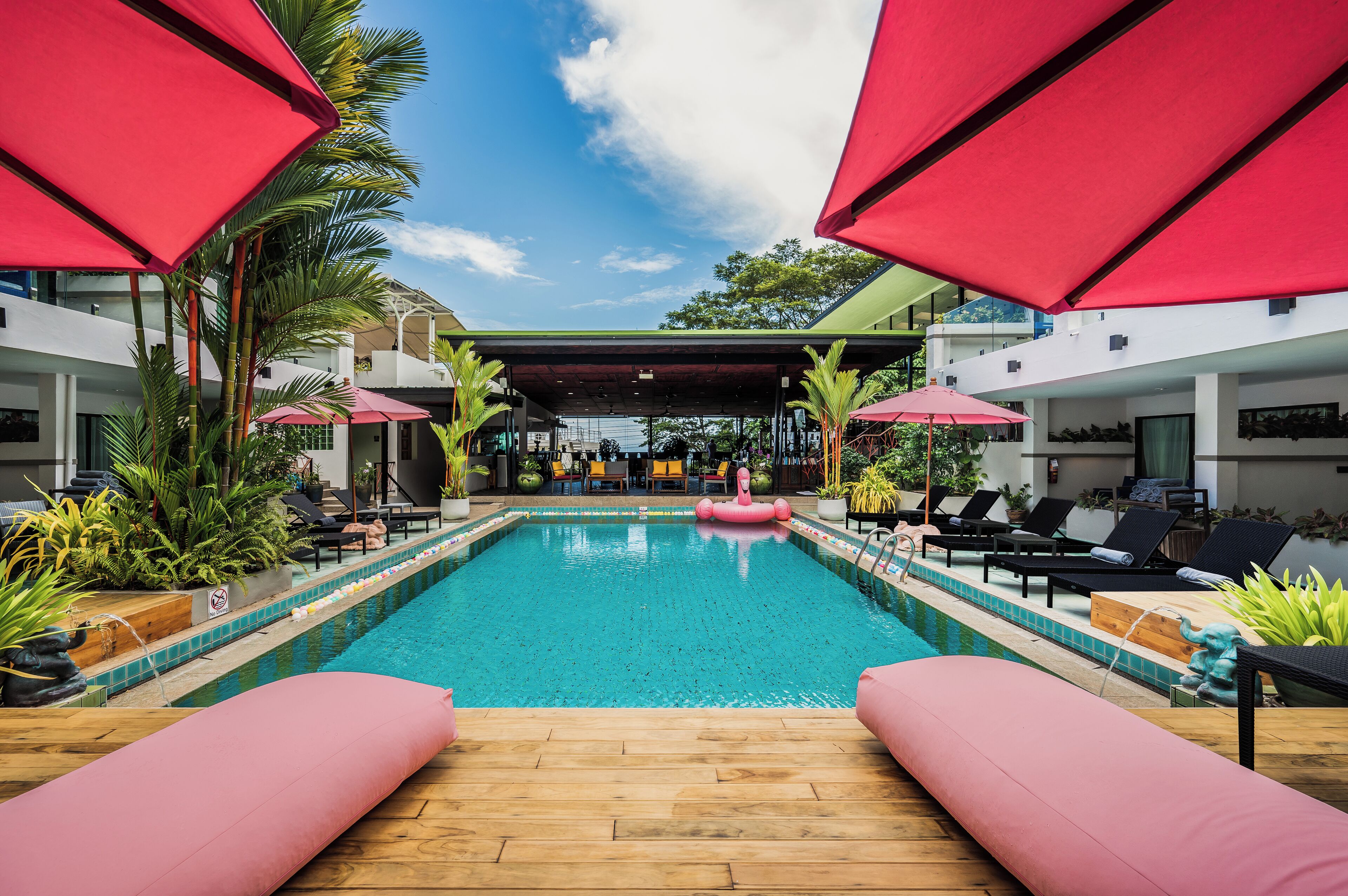 Outdoor pool, pool umbrellas, pool loungers