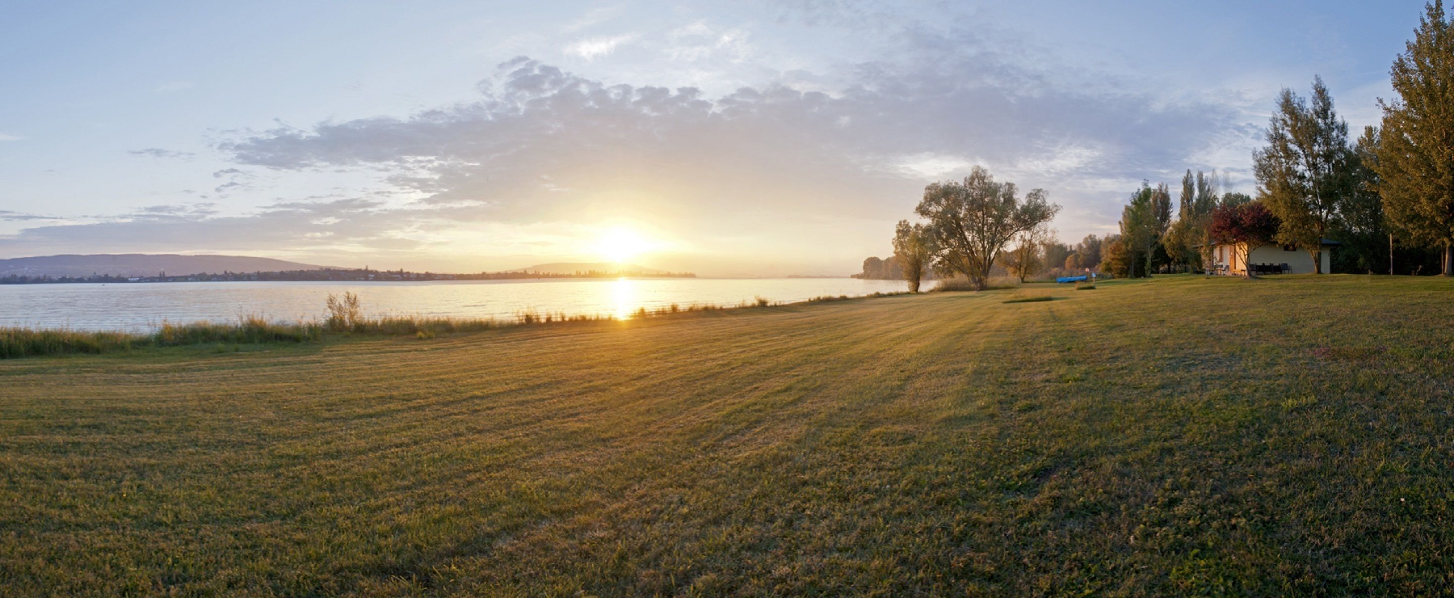 A grassy field with a body of water and trees in the background.