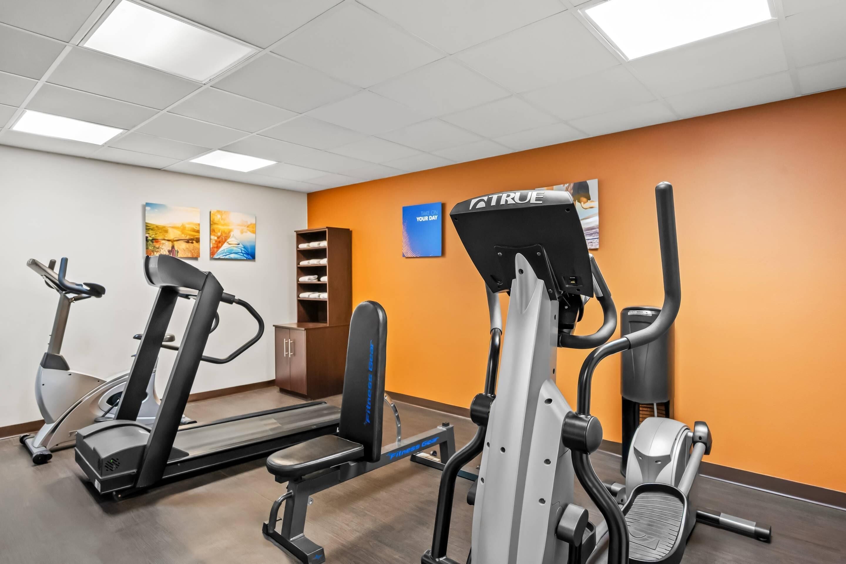 A gym with treadmills, elliptical machines, and a weight bench.