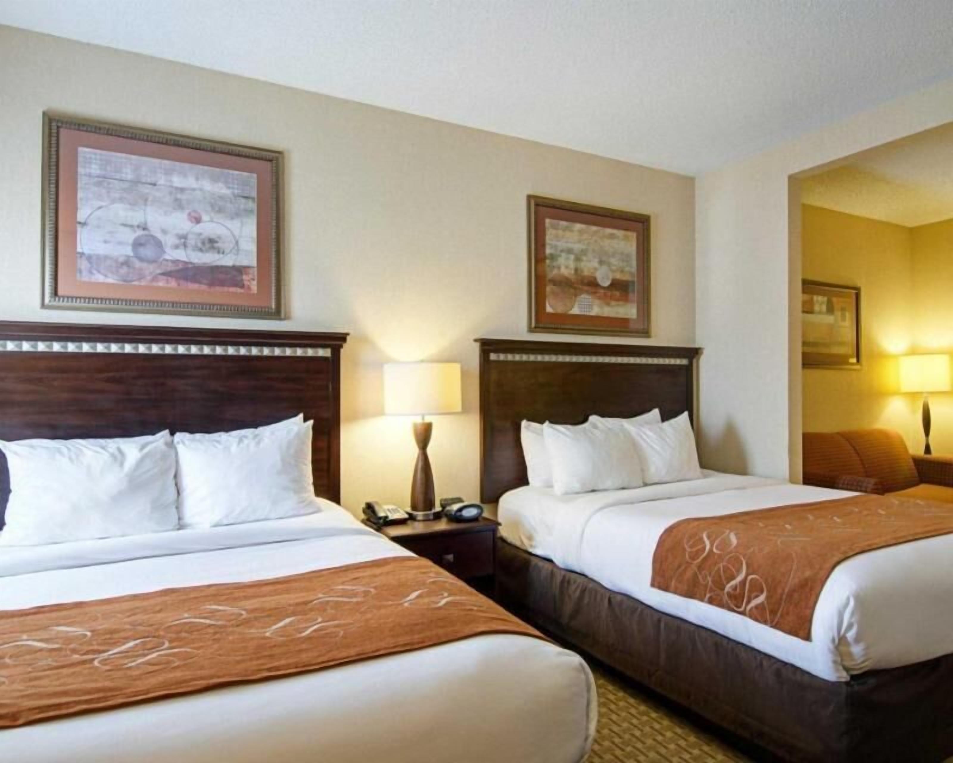Premium bedding, in-room safe, desk, blackout drapes