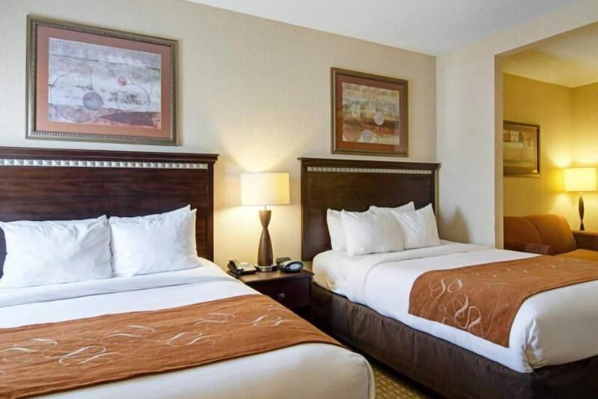 A hotel room with two beds, each with a wooden headboard, white bedding, and a brown throw blanket. There are framed pictures on the walls and a lamp on the nightstand.