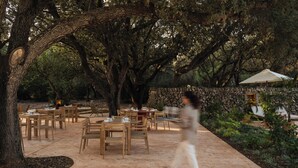 An outdoor dining area with wooden tables and chairs, surrounded by large trees and a stone wall. - Hotel Rural Sant Ignasi (Ciutadella de Menorca)
