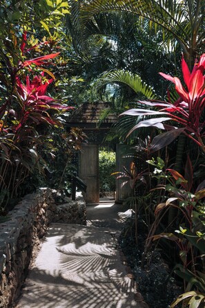 A stone pathway flanked by tropical plants leading to a wooden structure.