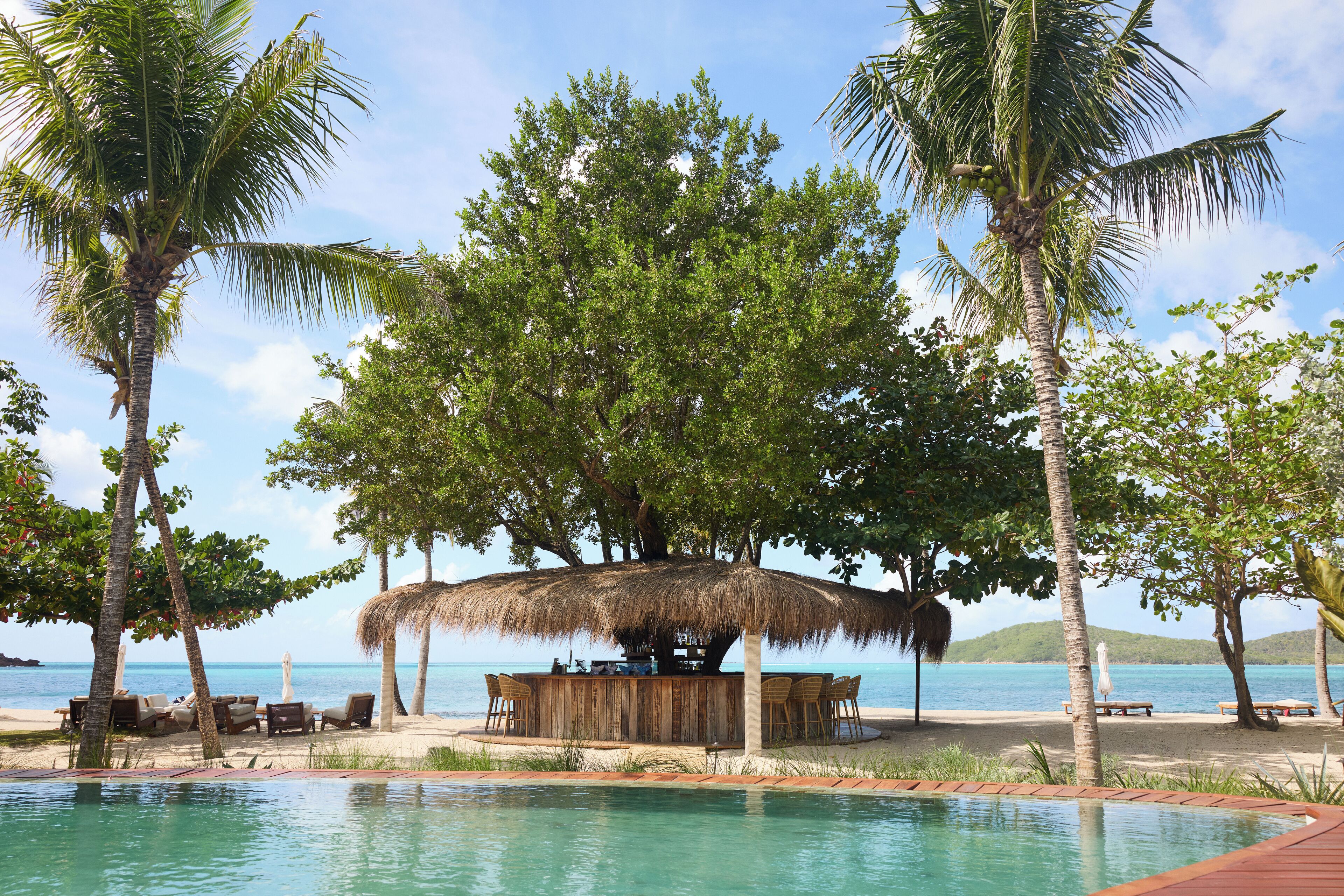 A beachside bar with a thatched roof, surrounded by palm trees and overlooking a clear blue sea.
