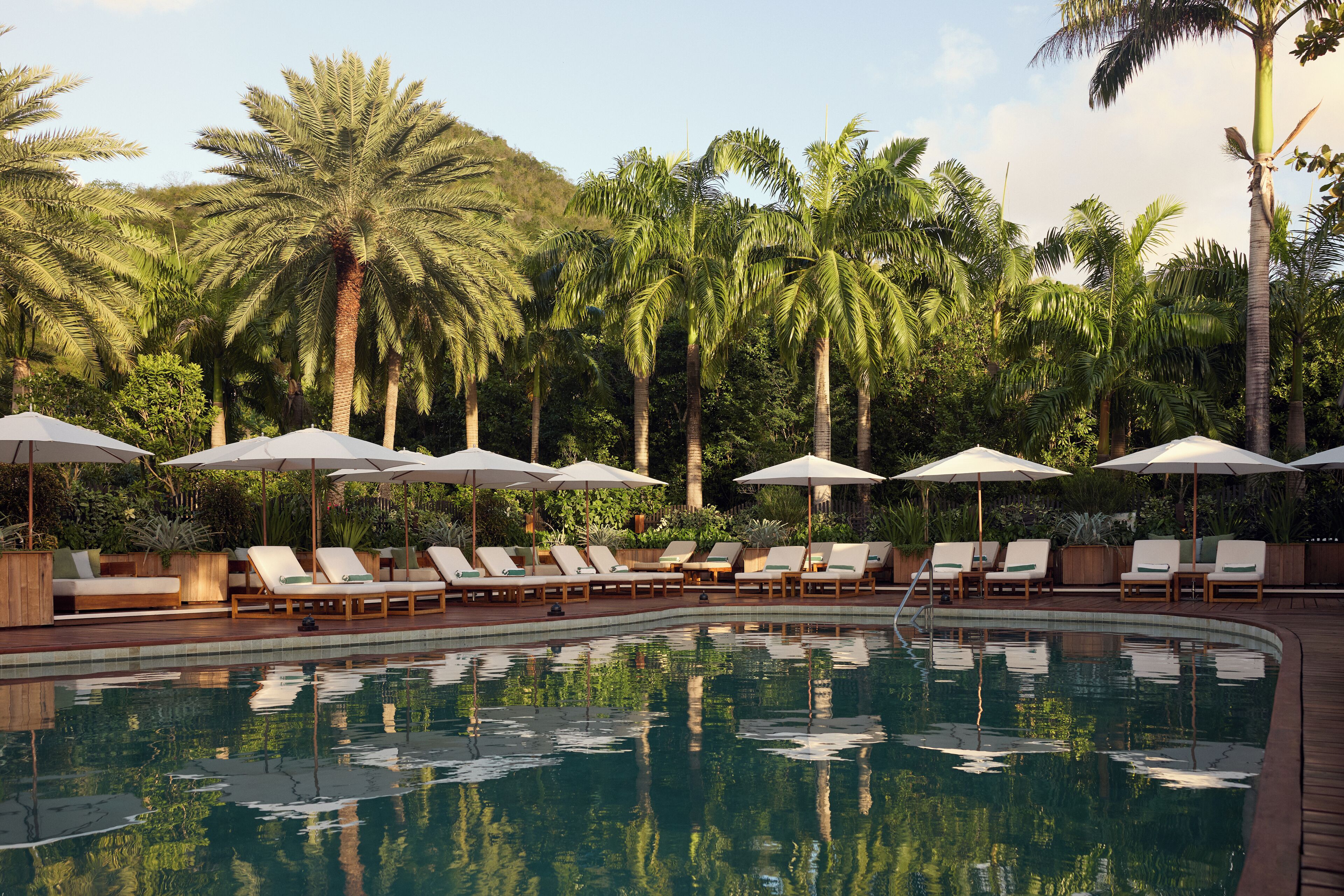 A pool area with lounge chairs and umbrellas, surrounded by palm trees.