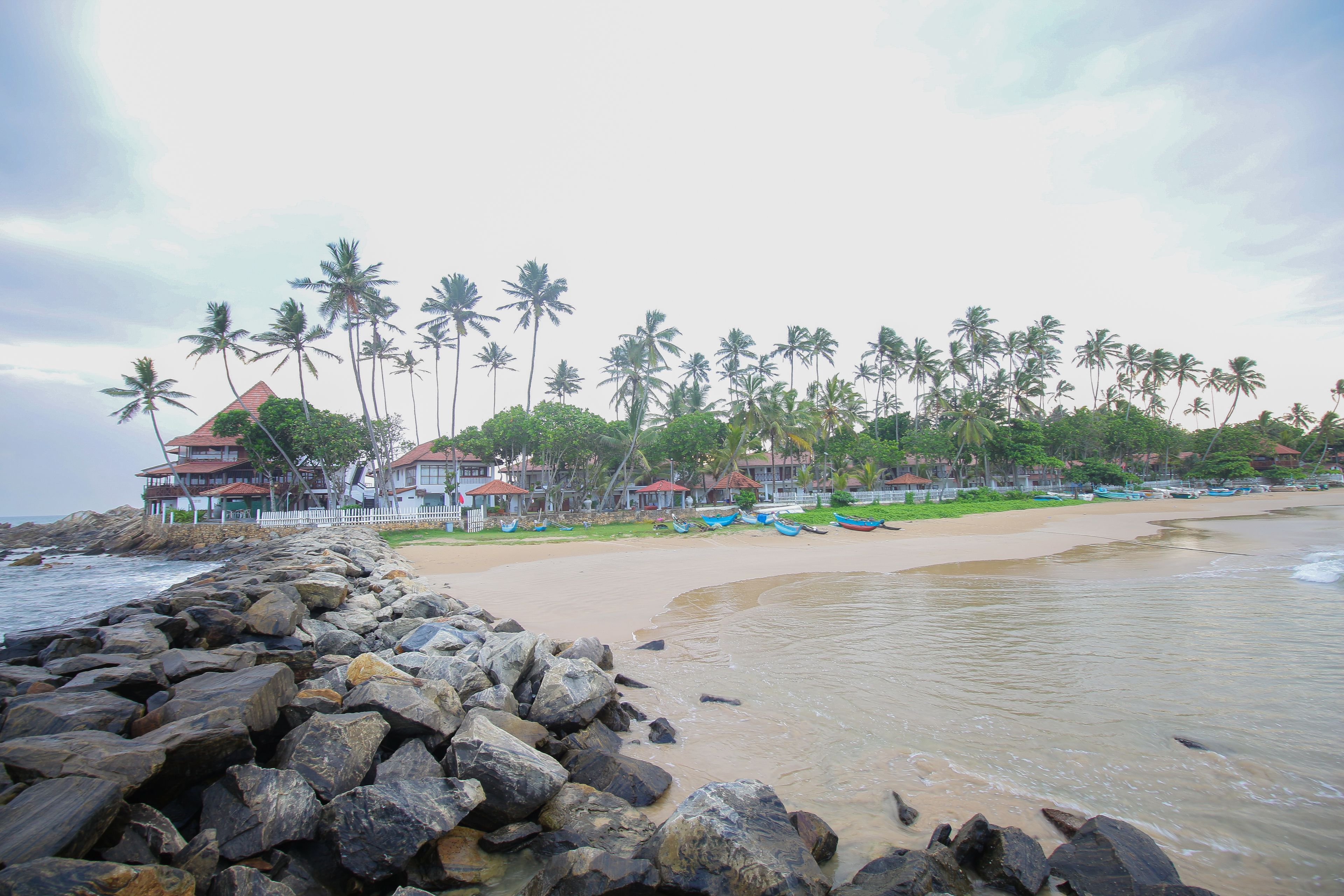 Una playa con costa rocosa, palmeras y casas de playa.