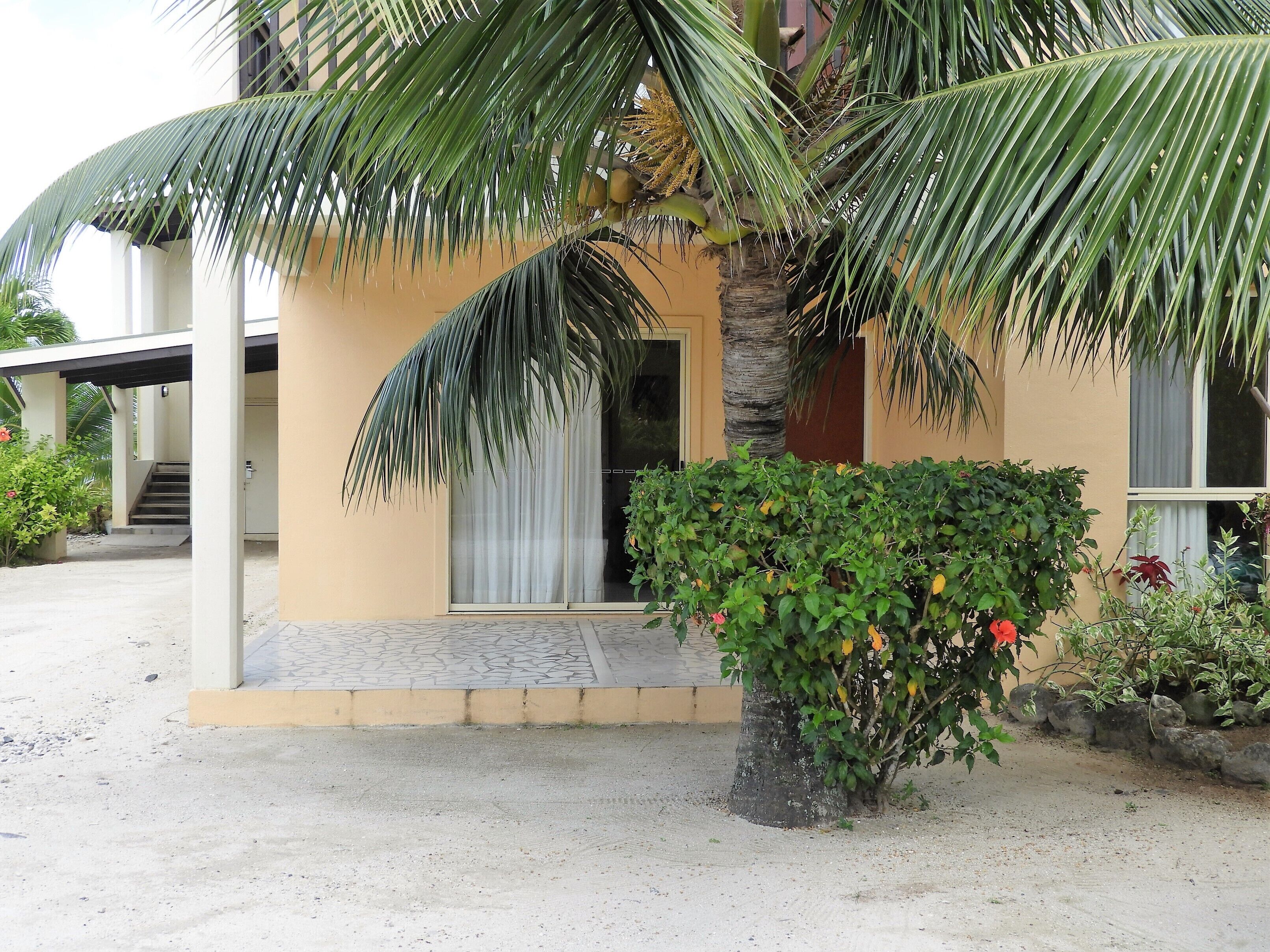 A building with a covered entrance, a palm tree, and a small garden with a bush and a tree with yellow fruits.