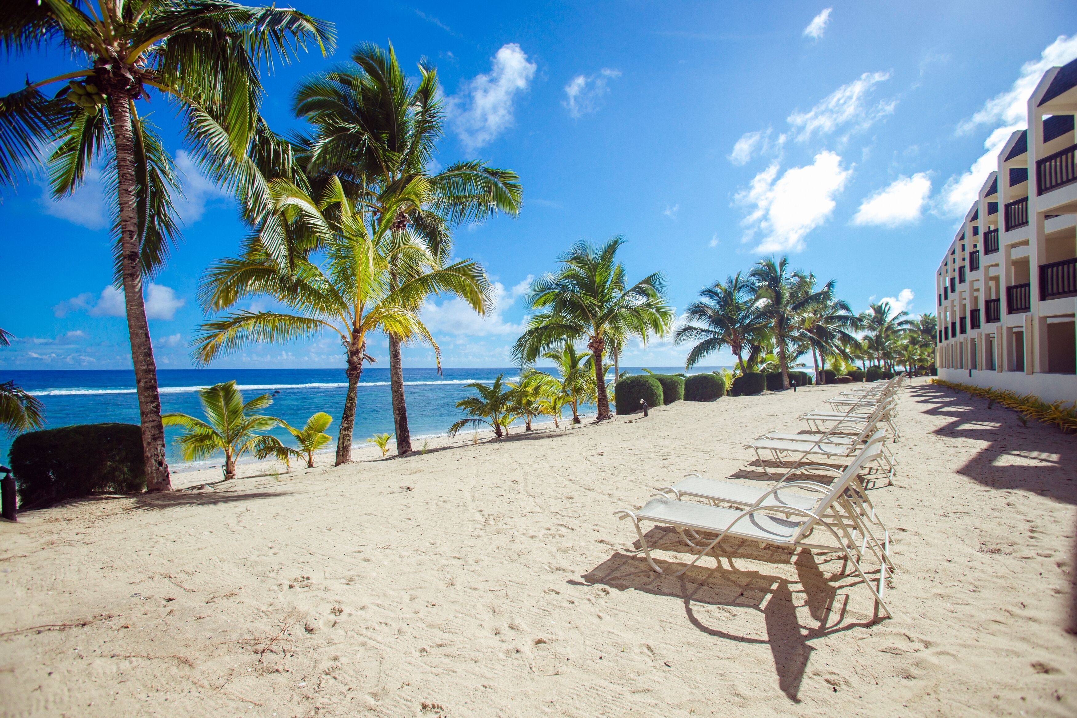 A beach with rows of white lounge chairs and palm trees, a clear blue sky, and a building with balconies.