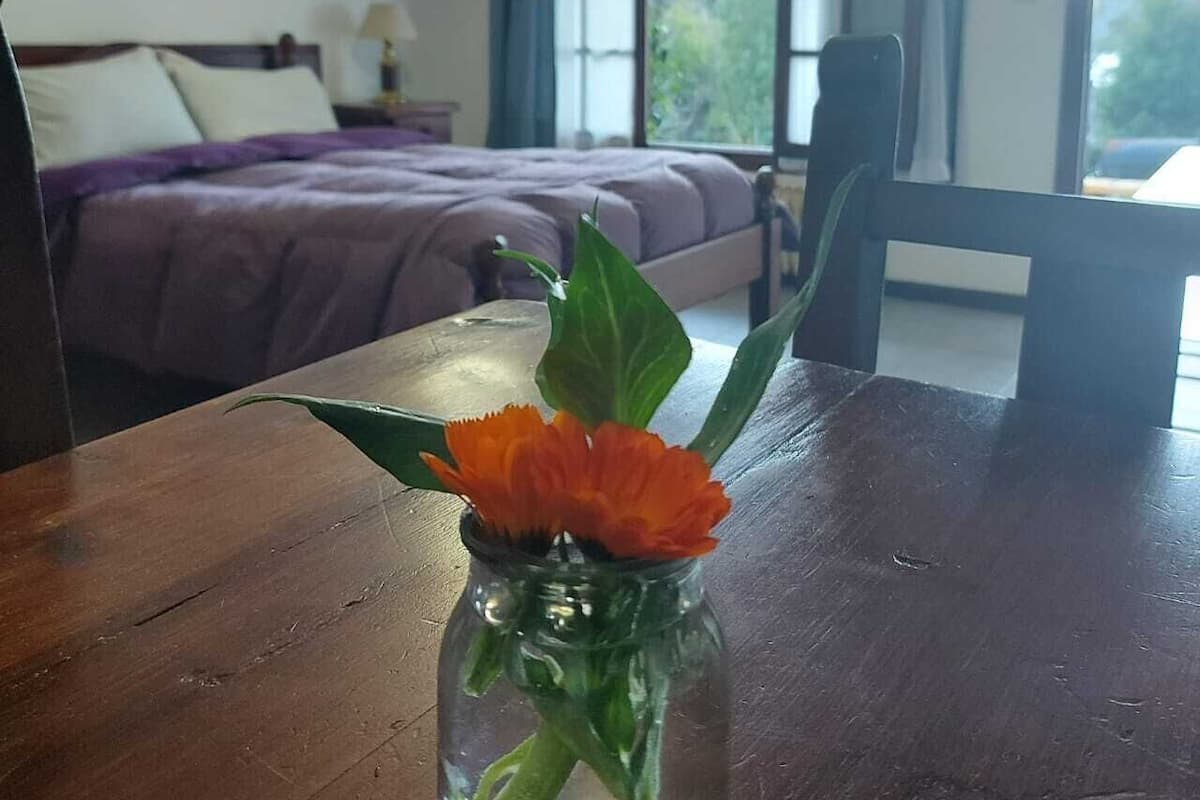 Hypo-allergenic bedding, blackout curtains, free WiFi, bed sheets