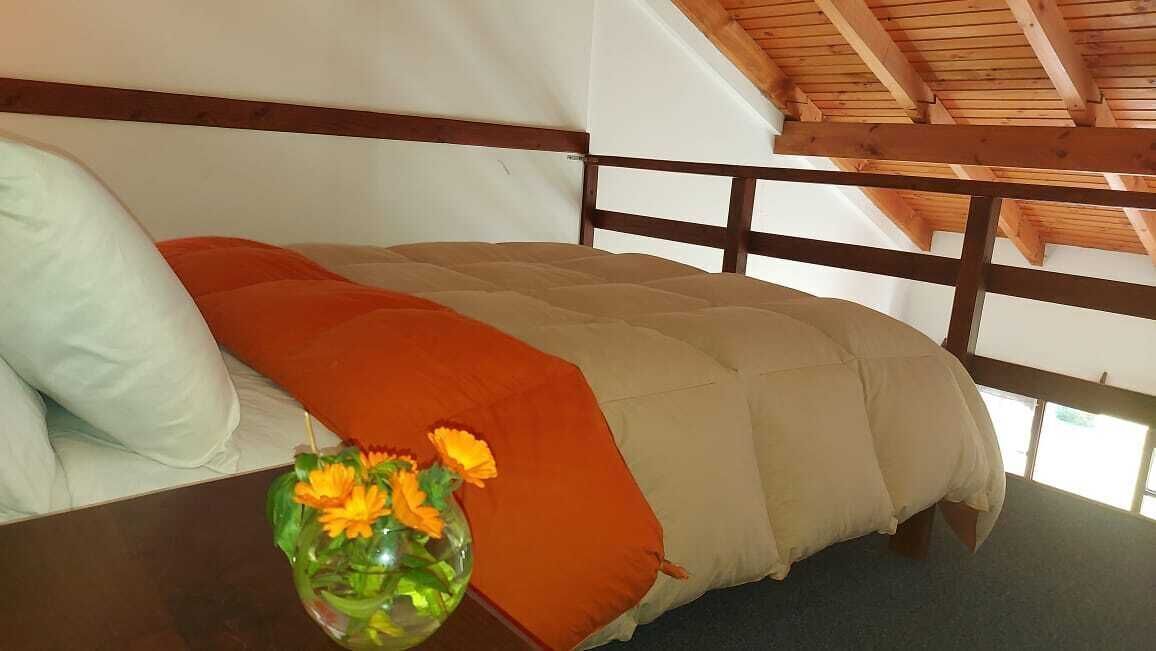 Hypo-allergenic bedding, blackout curtains, free WiFi, bed sheets