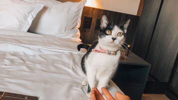 Roupas de cama premium, frigobar, cofres nos quartos