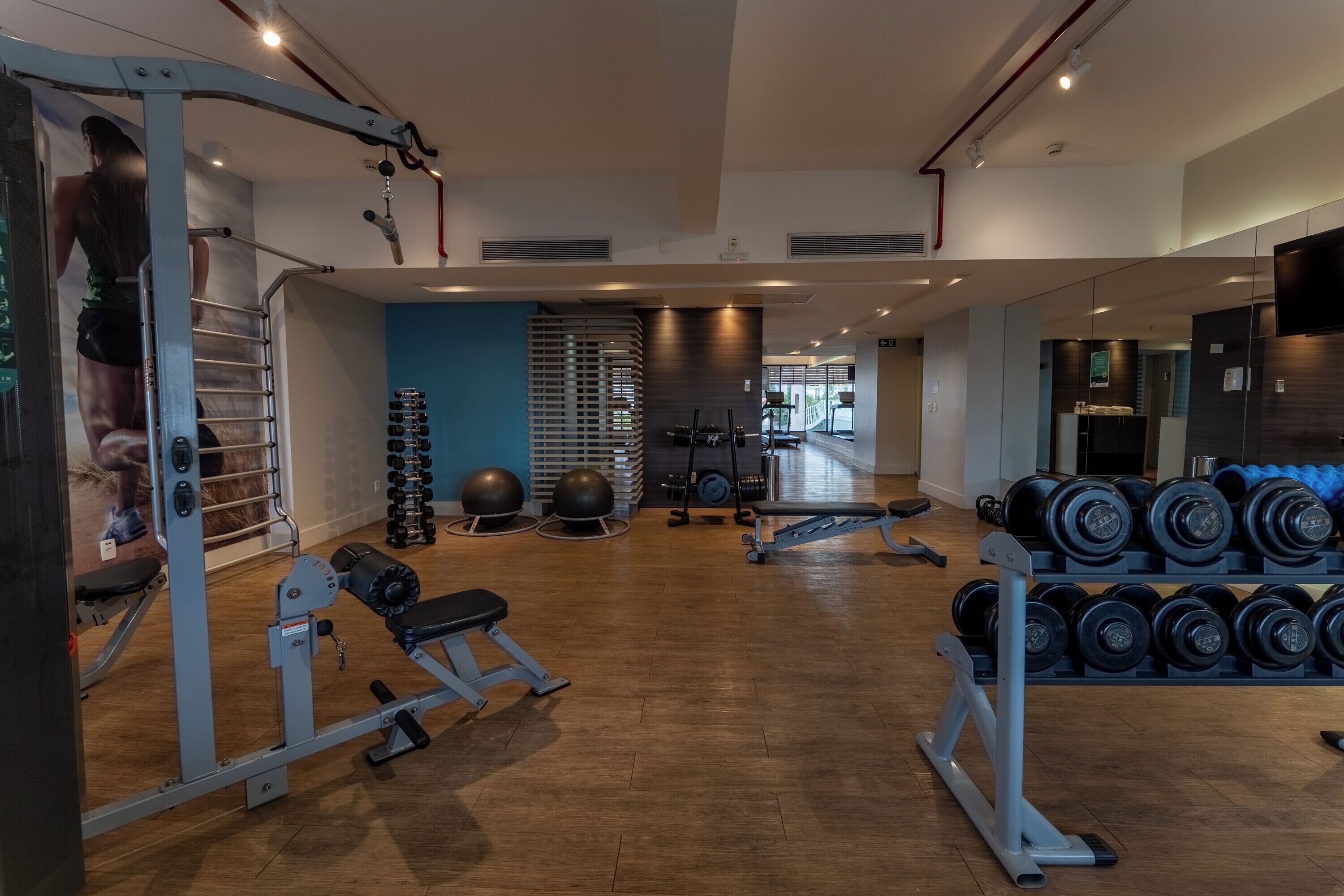 Un gimnasio con diverso equipo de ejercicio, incluyendo mancuernas, un banco y una estructura para sentadillas.