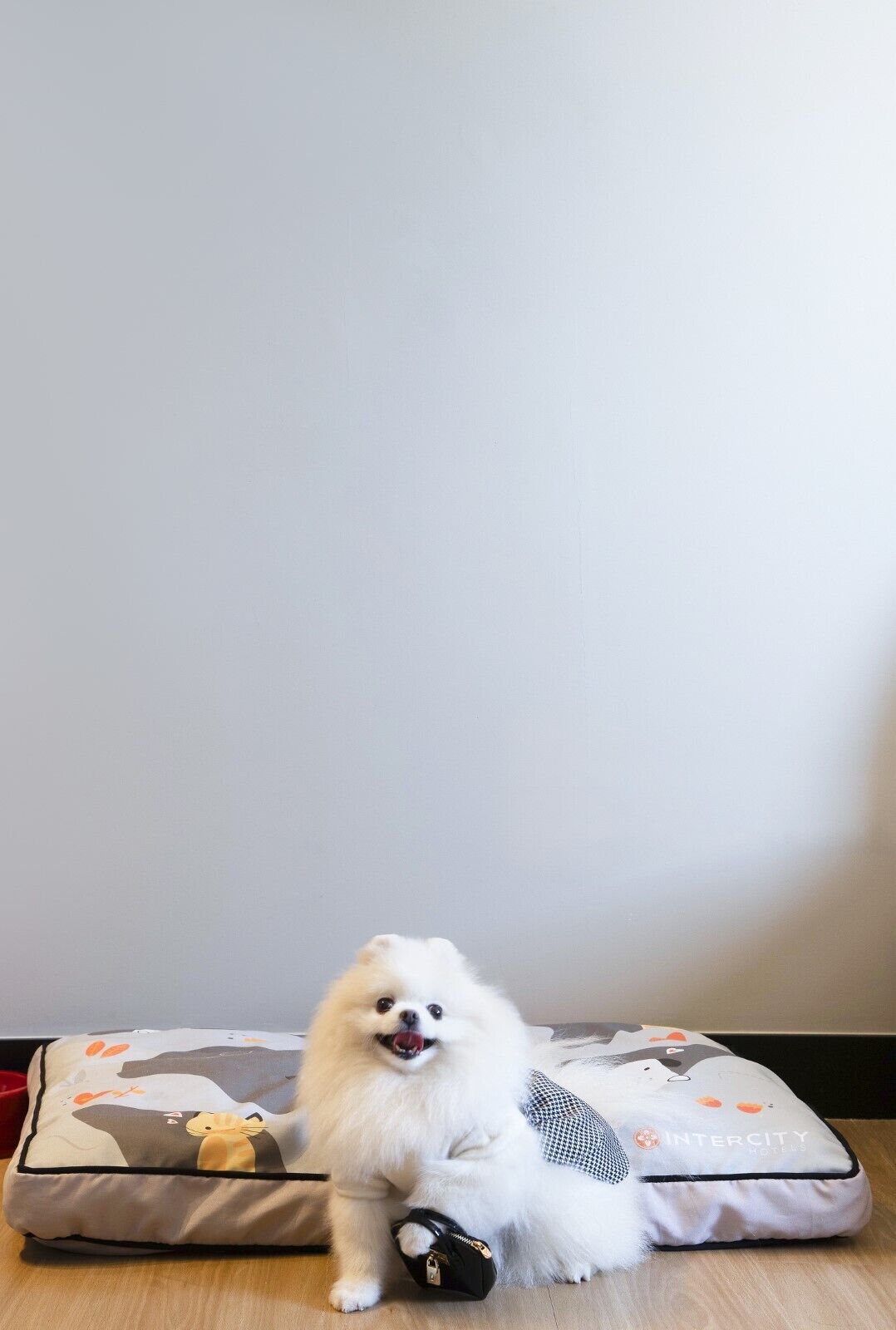 Photo - Intercity Cuiabá