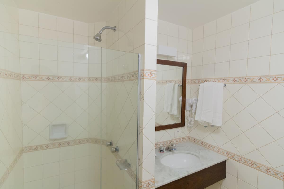 shower, free toiletries, hair dryer, towels