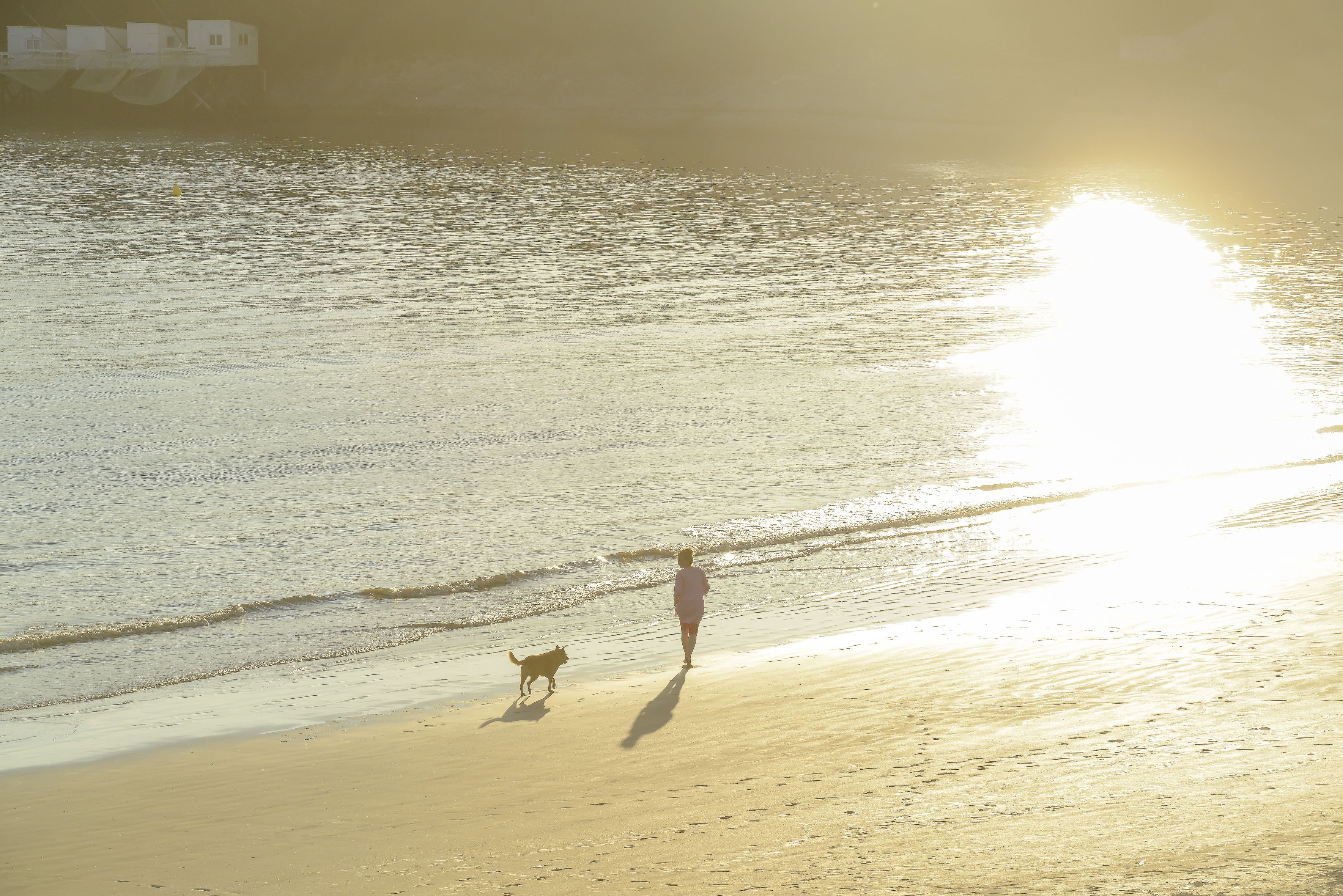 A beach scene with a person and a dog walking along the shore.