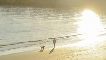 A beach scene with a person and a dog walking along the shore.