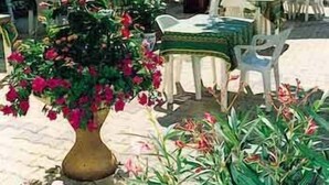 An outdoor seating area with tables and chairs, some covered by umbrellas, and a large potted plant with flowers. - Inter Hotel Bristol (Aix-les-Bains)