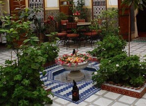 Property grounds - Riad Dalia (Marrakech)