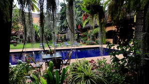 Un espace piscine agrémenté de chaises longues et d’une table à manger, le tout entouré d’une végétation luxuriante et de plantes tropicales.