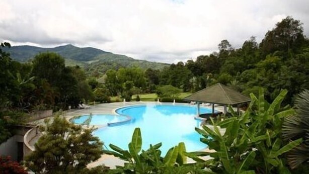 Outdoor pool, sun loungers - Botanic Resort (Mae Rim)