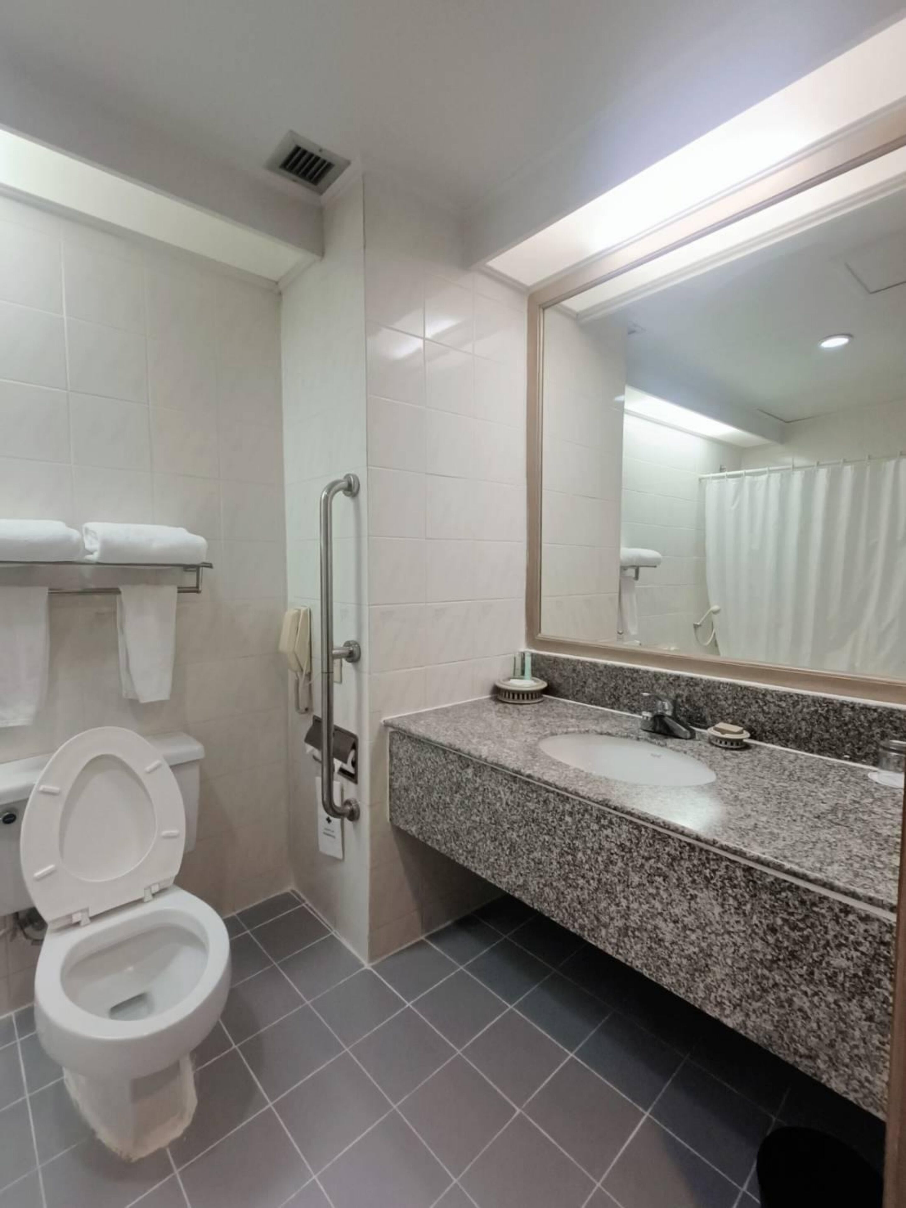 A bathroom with a toilet, a sink, a mirror, and a shower curtain.