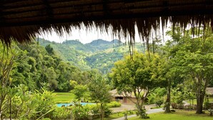 Un paisaje exuberante con una estructura de techo de paja, piscina y un jardín bien cuidado.