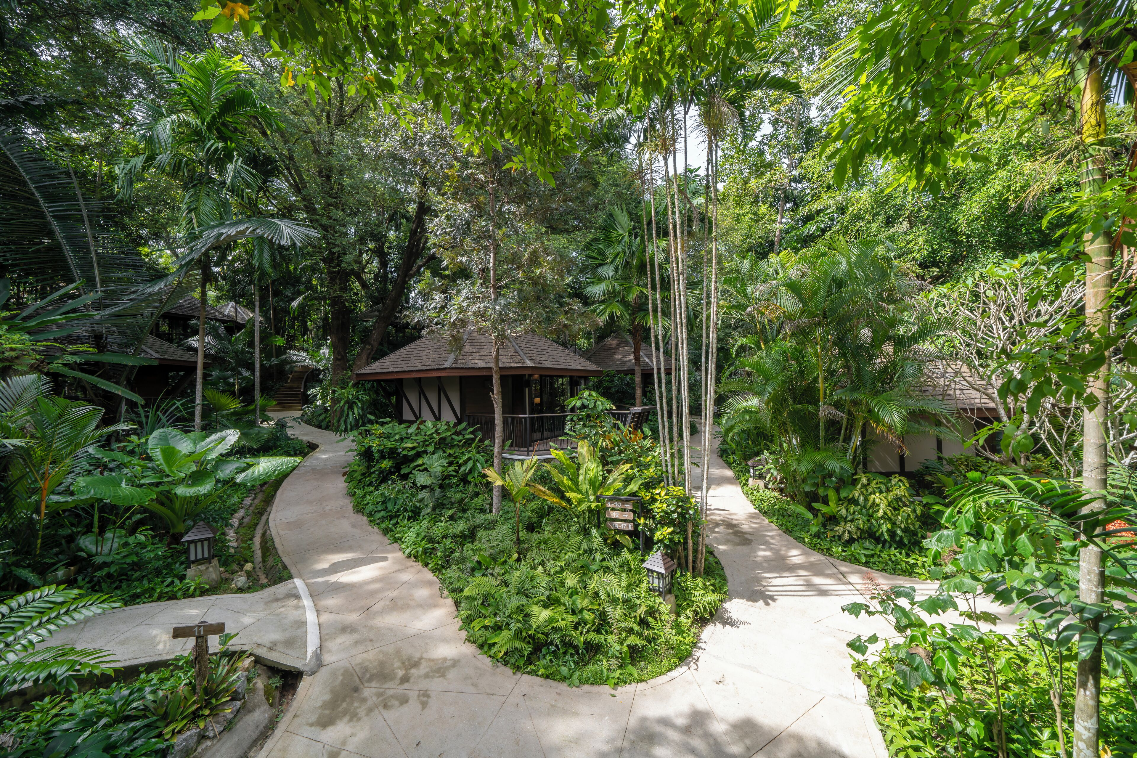 Un sentier traverse un jardin luxuriant, où l’on trouve une variété de plantes, et mène à une petite construction surmontée d’un toit de chaume.