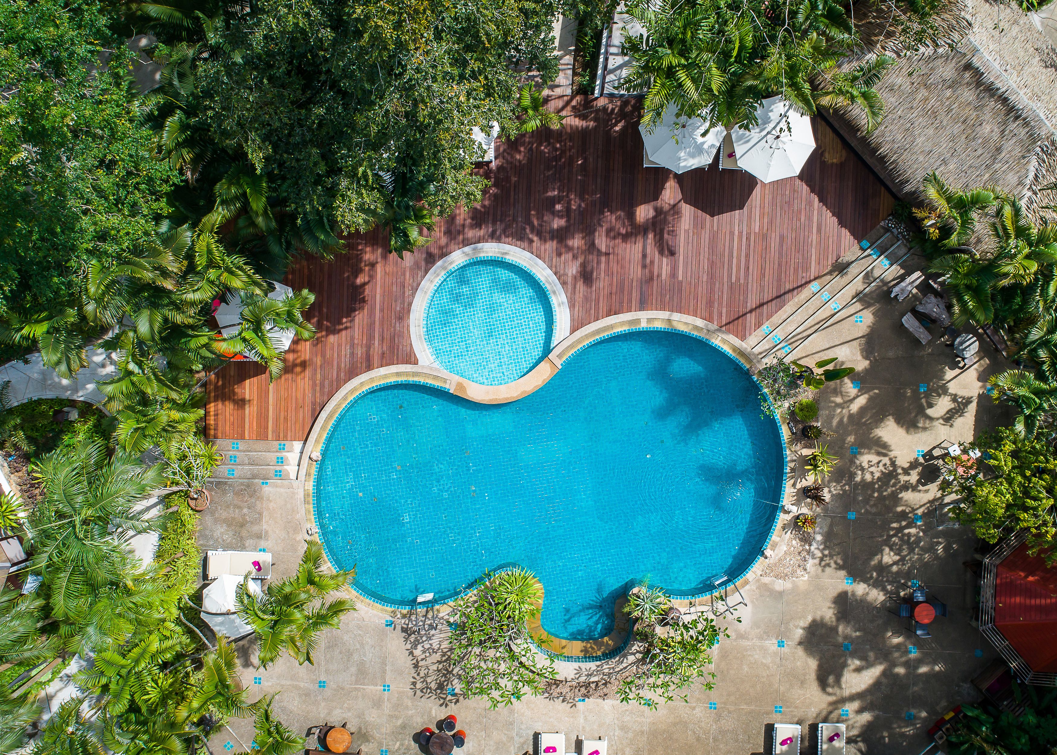 室外游泳池，池畔遮阳伞，日光浴躺椅