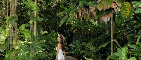 Una mujer caminando por un sendero rodeado de exuberante follaje tropical.