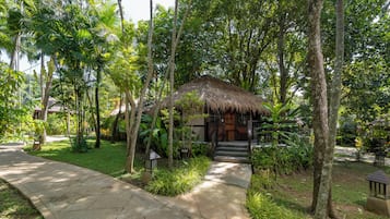 Superior Room | View from room