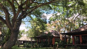 Superior Room, 1 Bedroom, River View | Terrace/patio