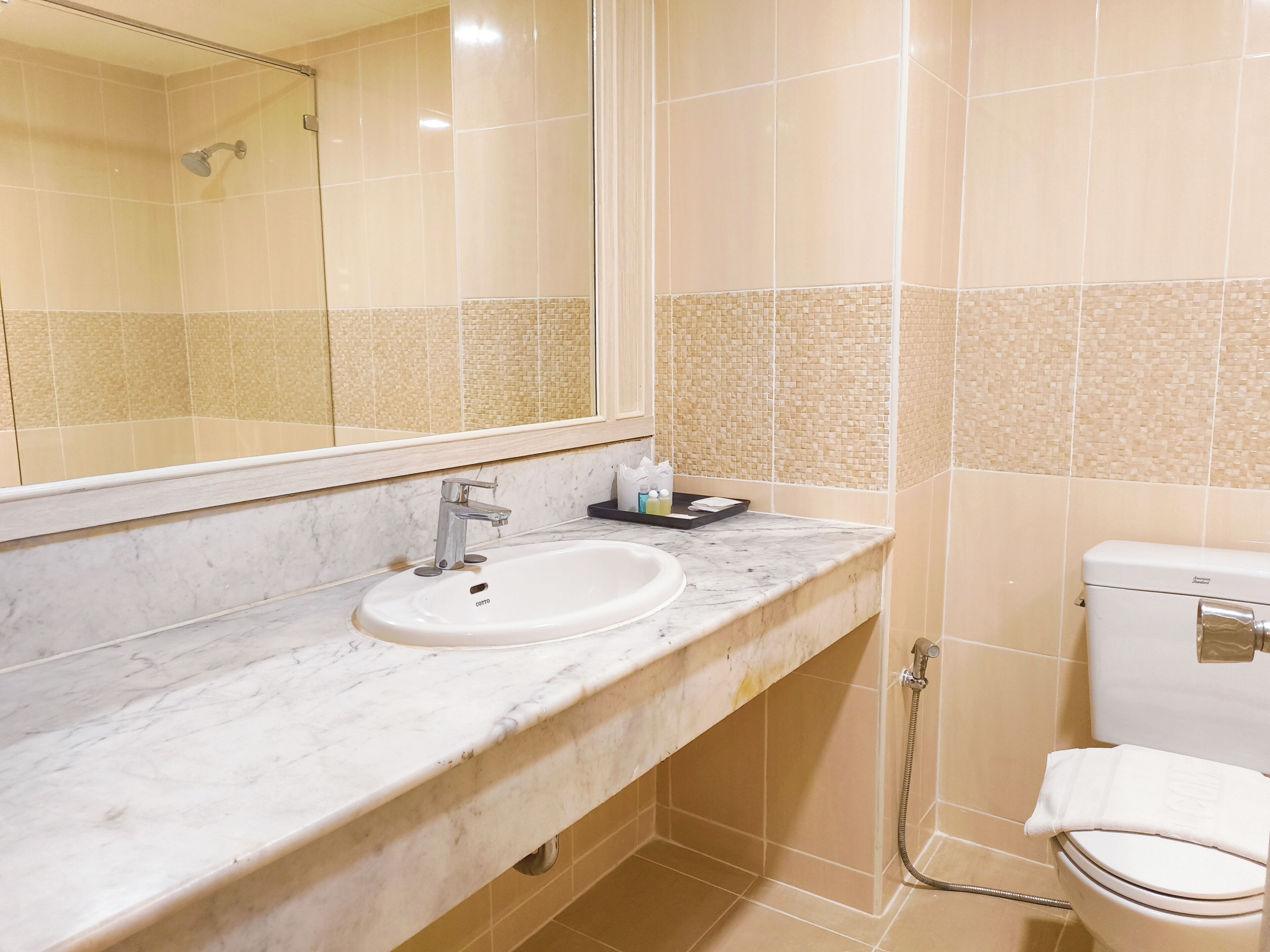 Un baño con lavamanos de mármol, un espejo, un inodoro y una ducha.