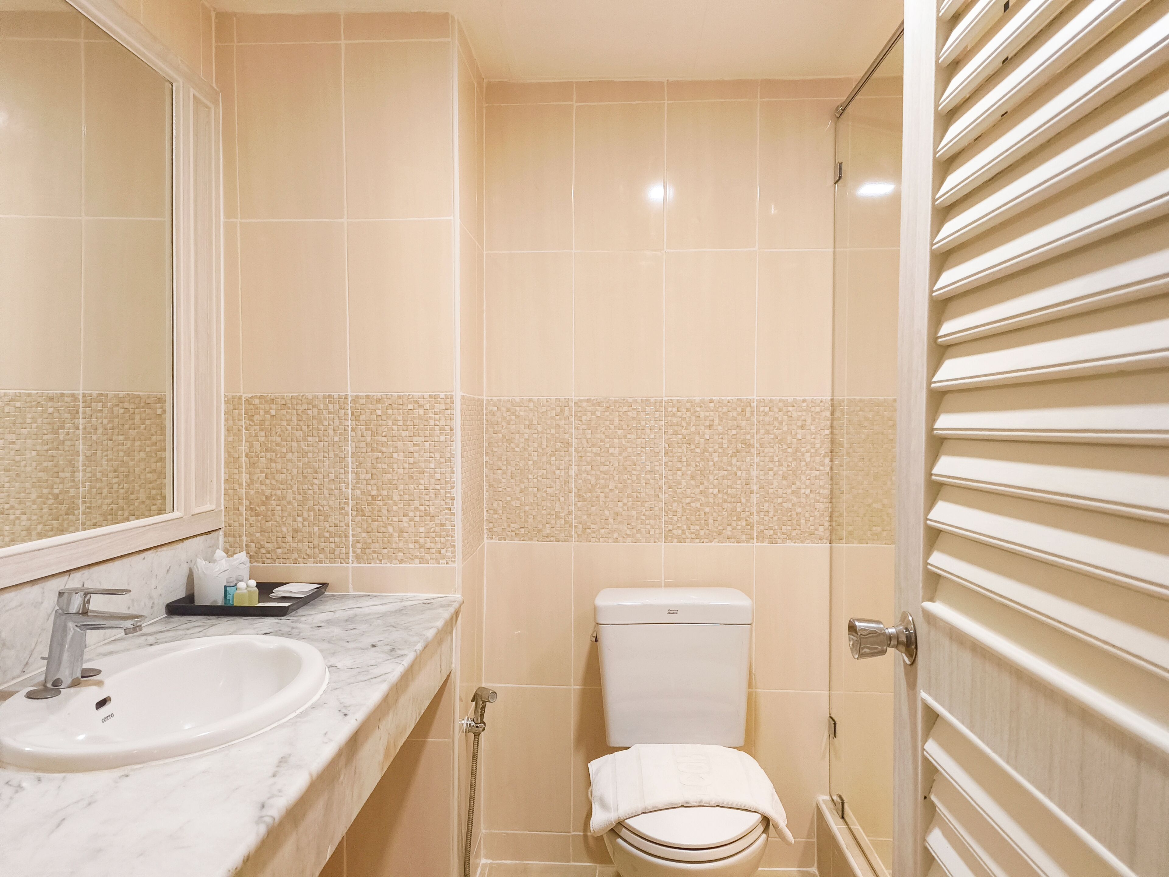 A bathroom with a marble sink, a toilet, and a shower.
