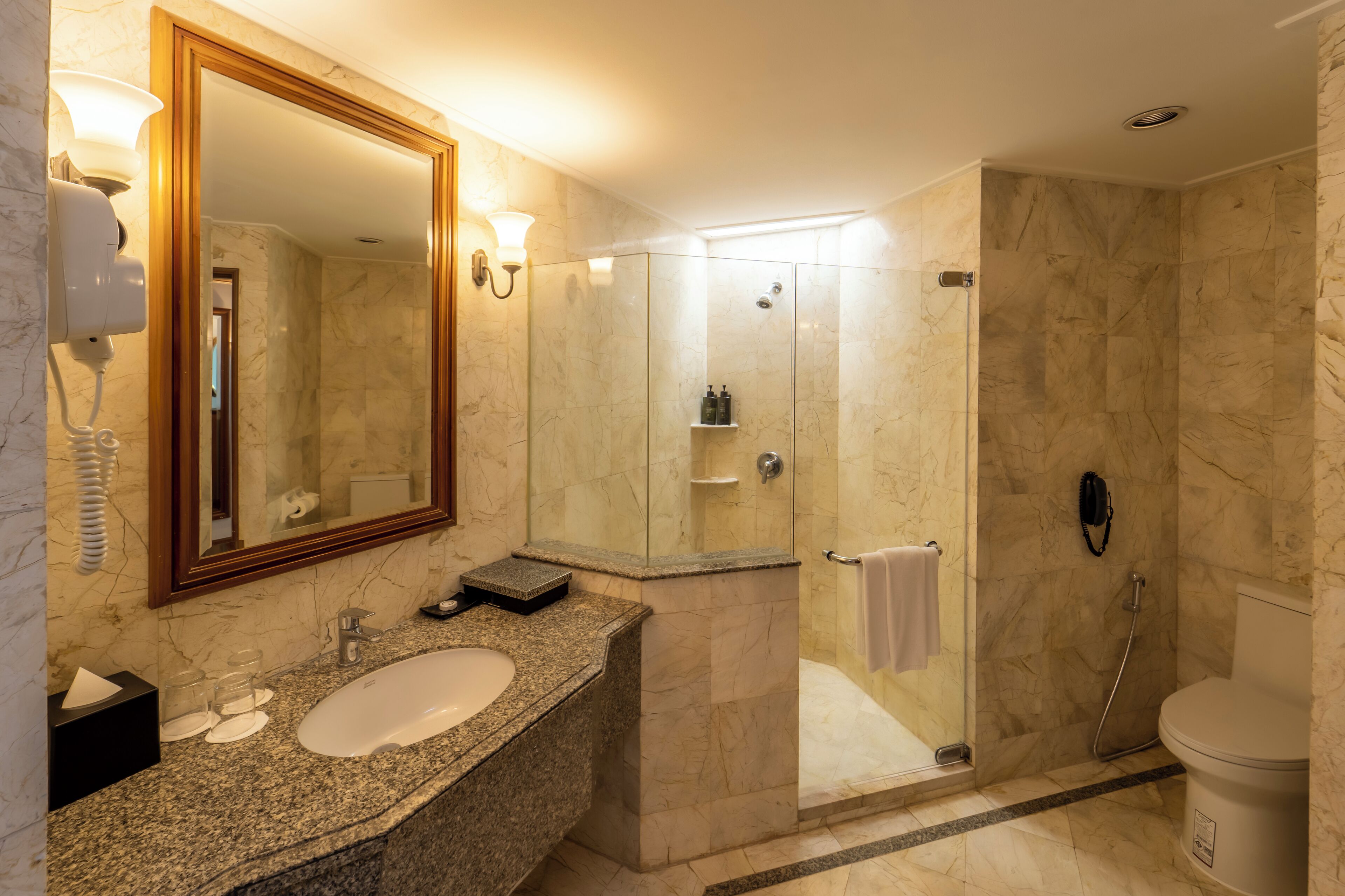 A modern bathroom with a granite countertop, a large mirror, a shower enclosure, and a toilet.