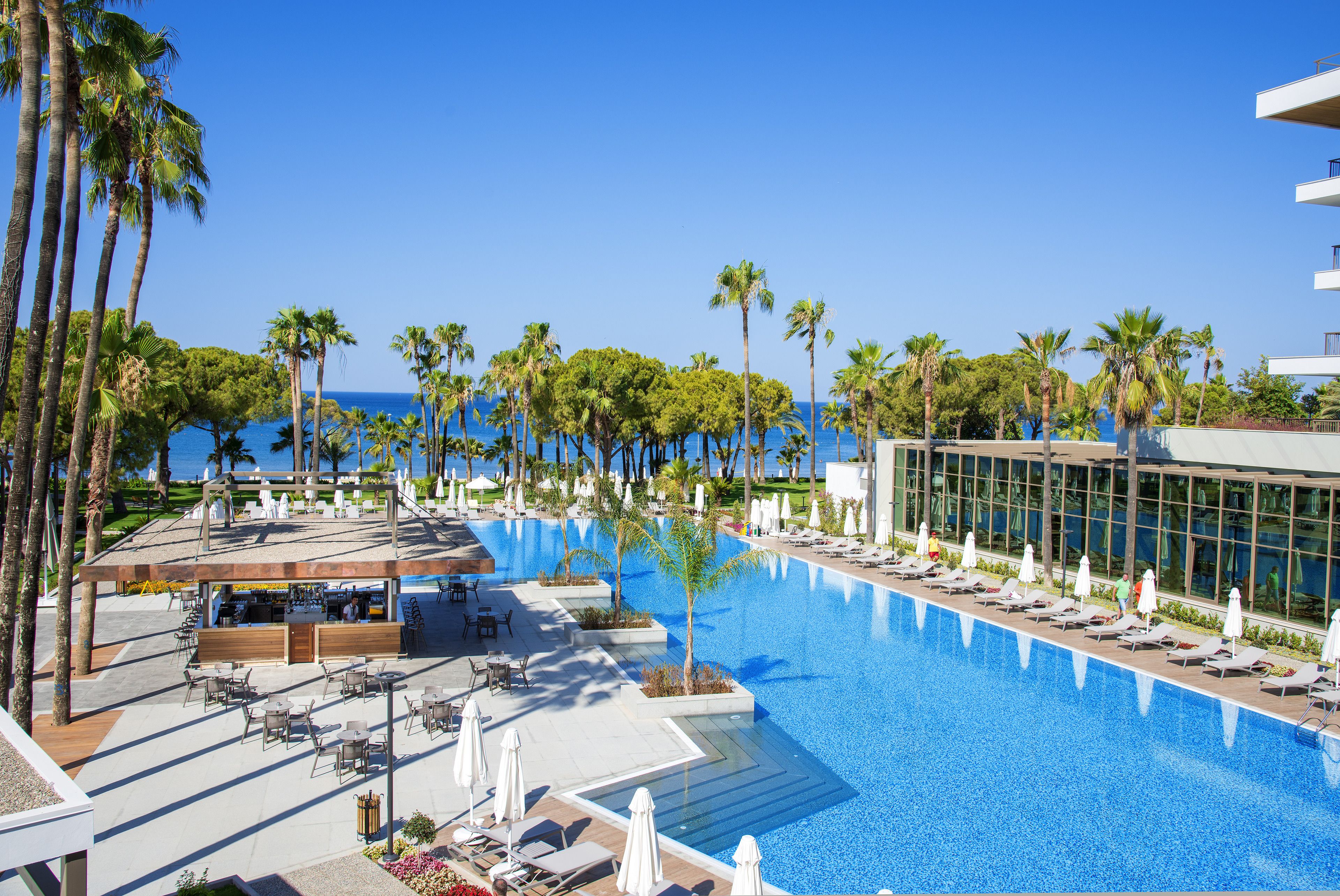 A resort pool with lounge chairs, palm trees, and a view of the ocean.