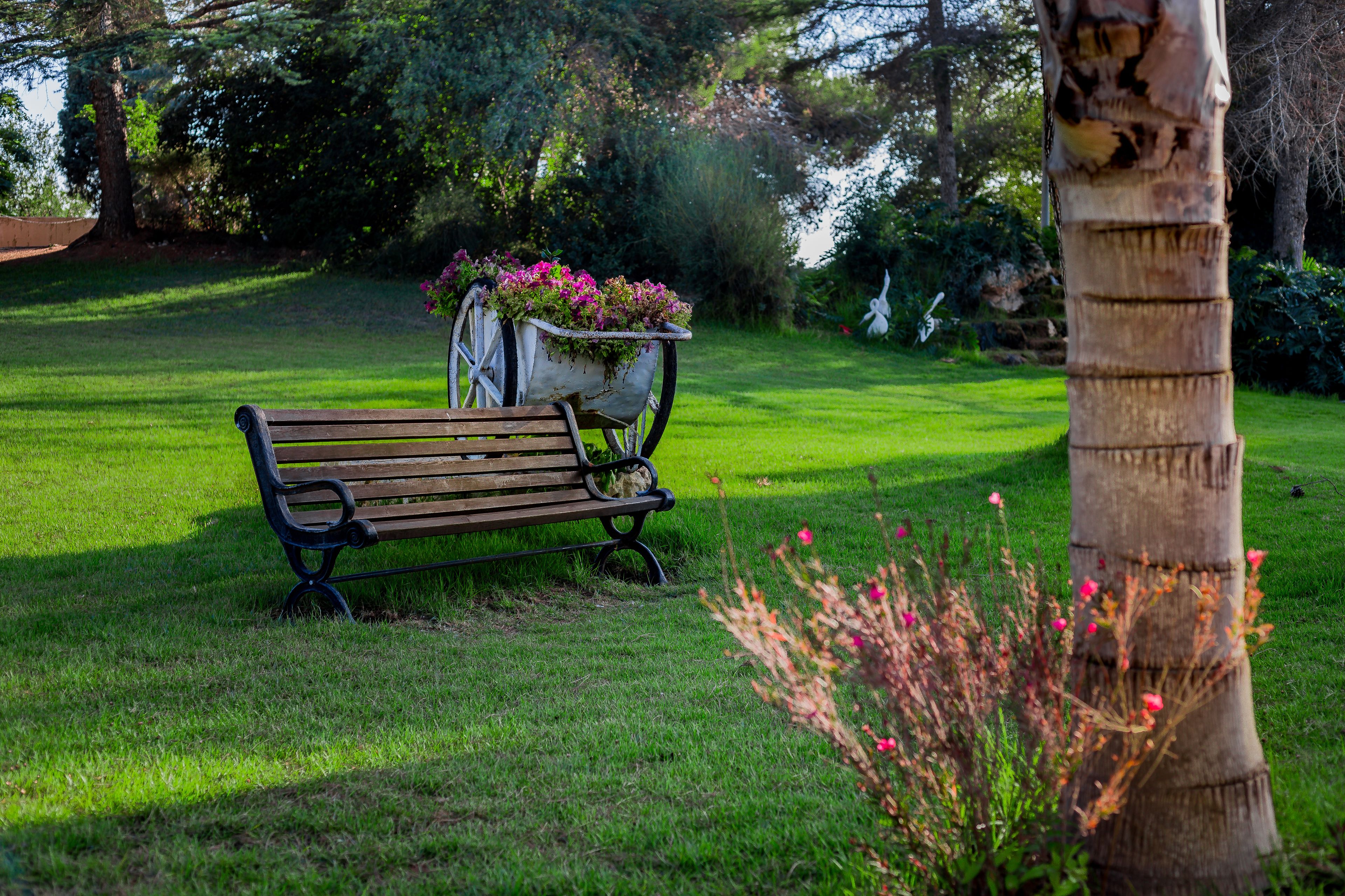 A park bench with a planter cart beside it.
