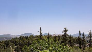 A mountainous landscape with dense forests and scattered buildings.