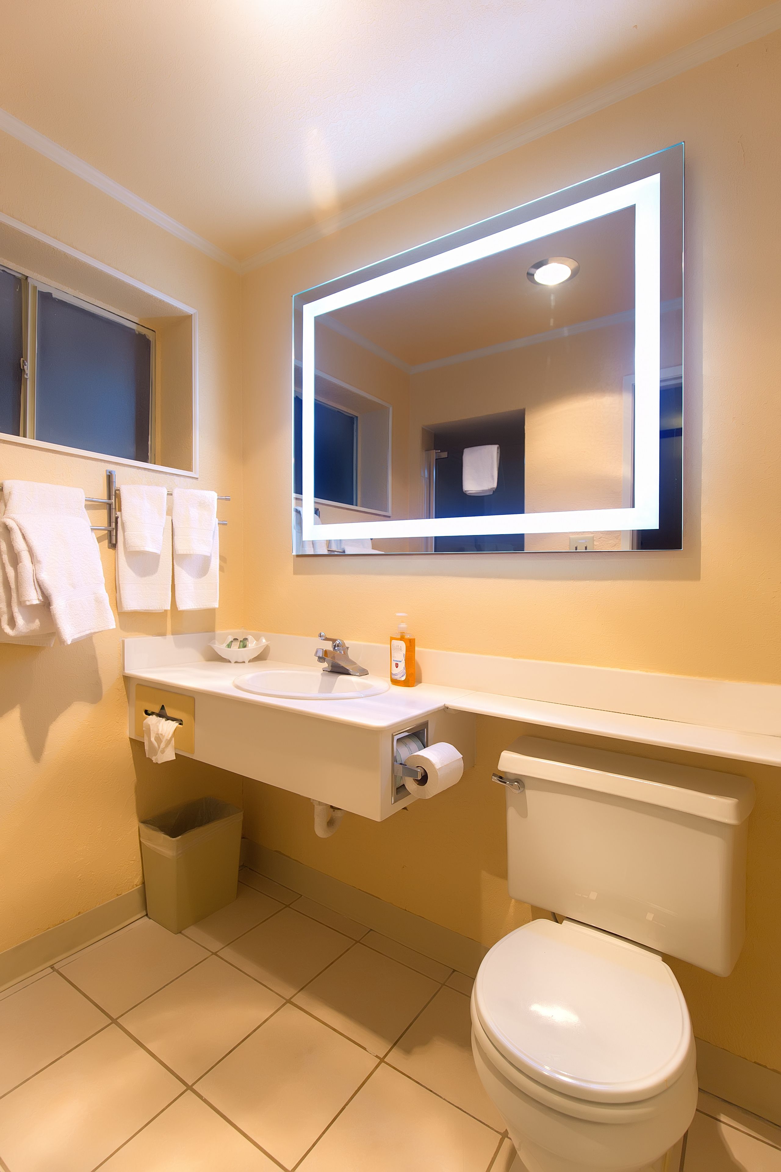 combined shower/bathtub, free toiletries, hair dryer, towels