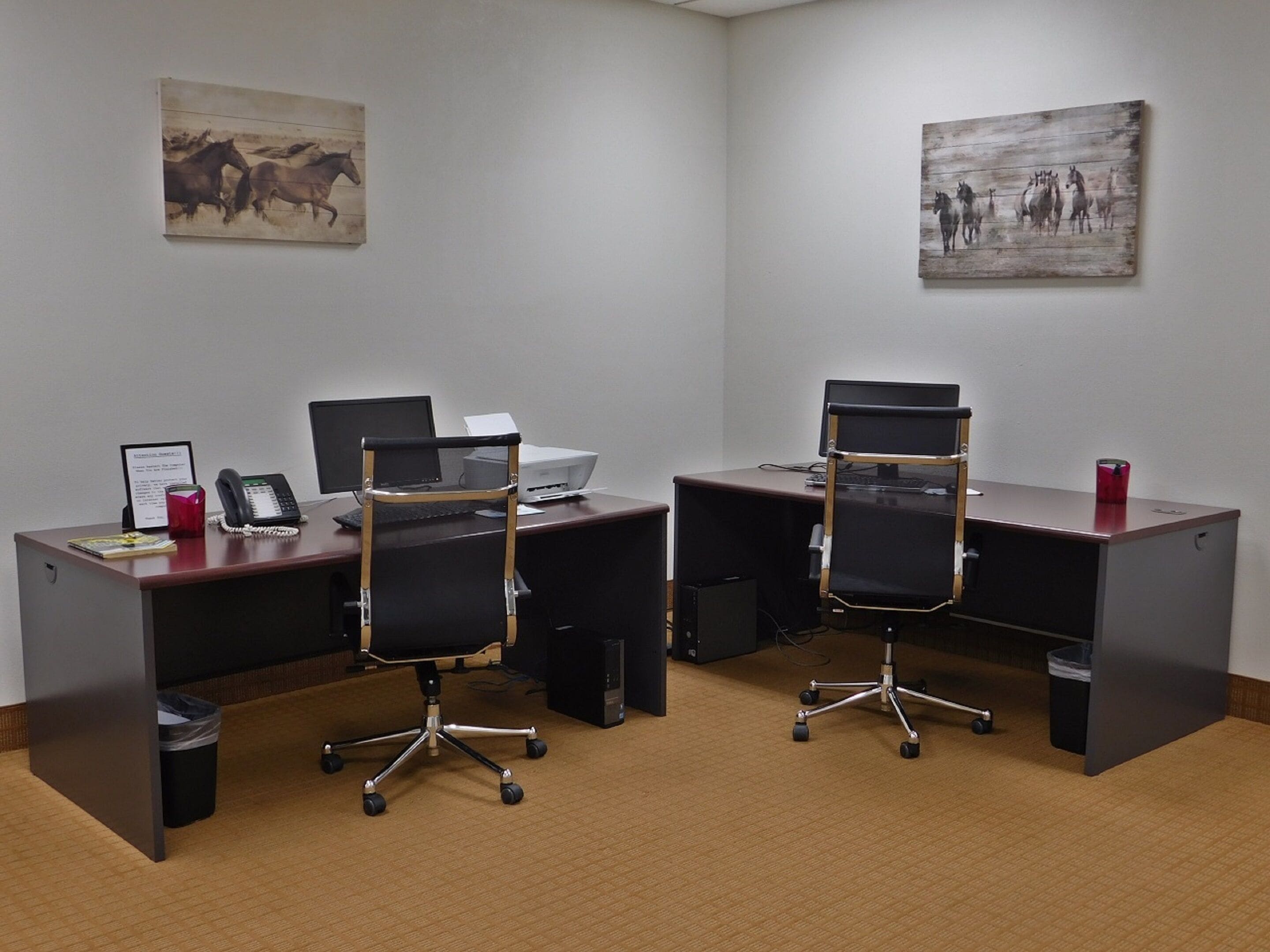 An office with two desks, chairs, computers, and a trash can.