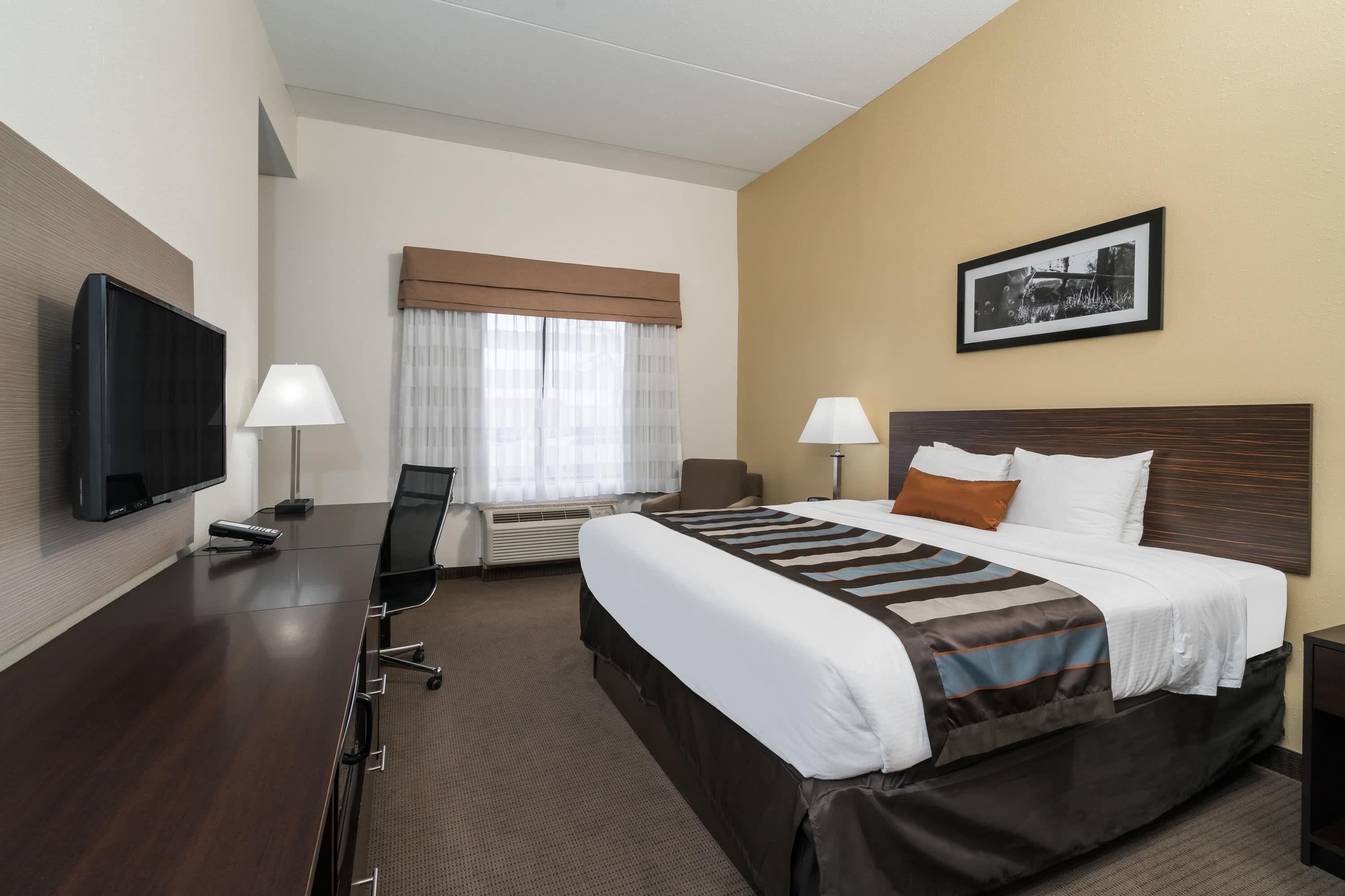 A hotel room with a bed, desk, chair, TV, lamps, and a framed picture on the wall.