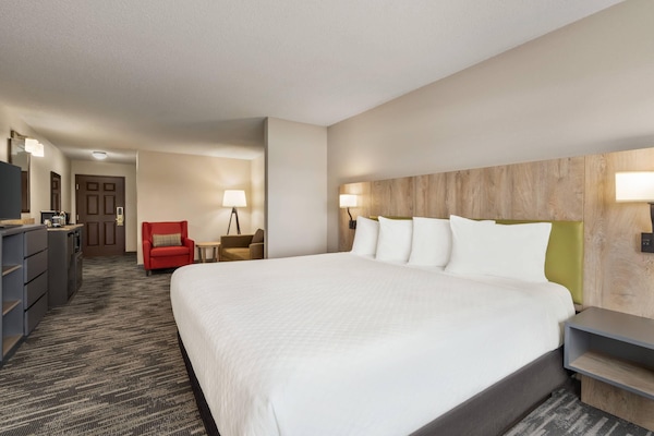 Studio Suite, 1 King Bed with Sofa bed, Non Smoking | Desk, blackout drapes, iron/ironing board, free cribs/infant beds