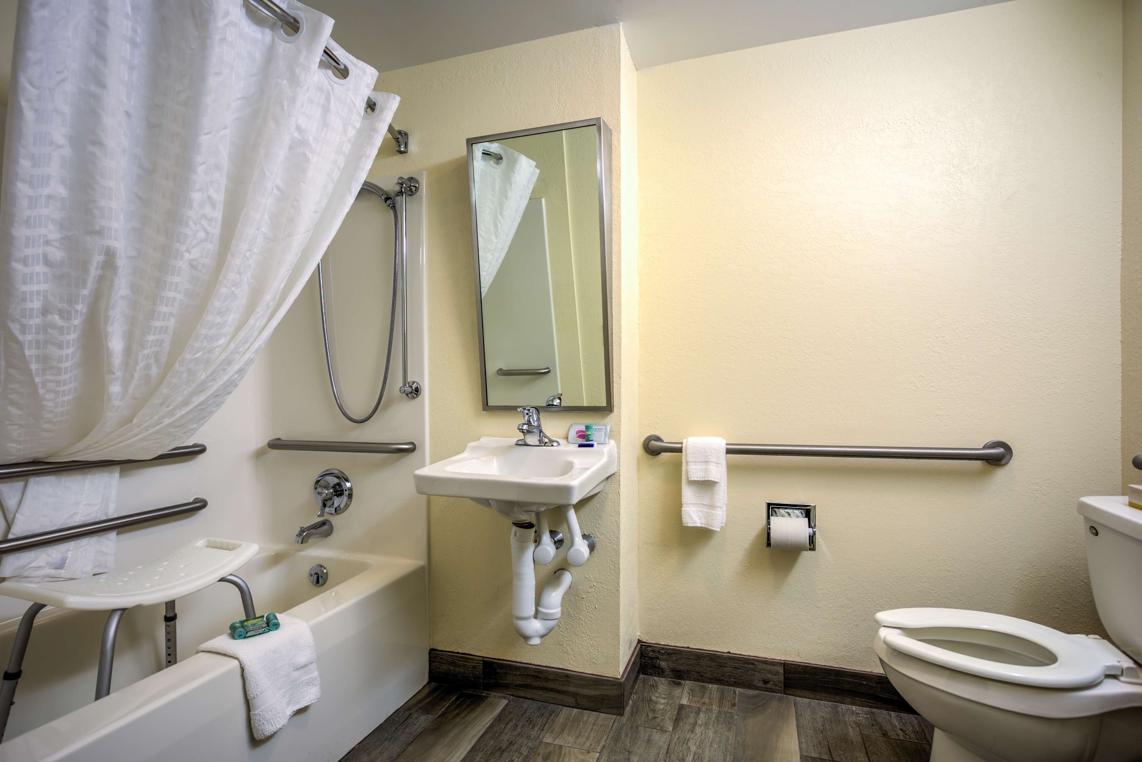 standard room, 1 king bed, accessible, refrigerator & microwave (refrigerator & microwave) | bathroom | combined shower/bathtub, free toiletries, hair dryer, towels