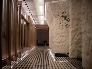 Ένας διάδρομος με ένα δάπεδο με διακοσμητικό σχέδιο, έναν τοίχο με ανάγλυφη υφή και μια μικρή διακοσμητική γλάστρα με φυτό.