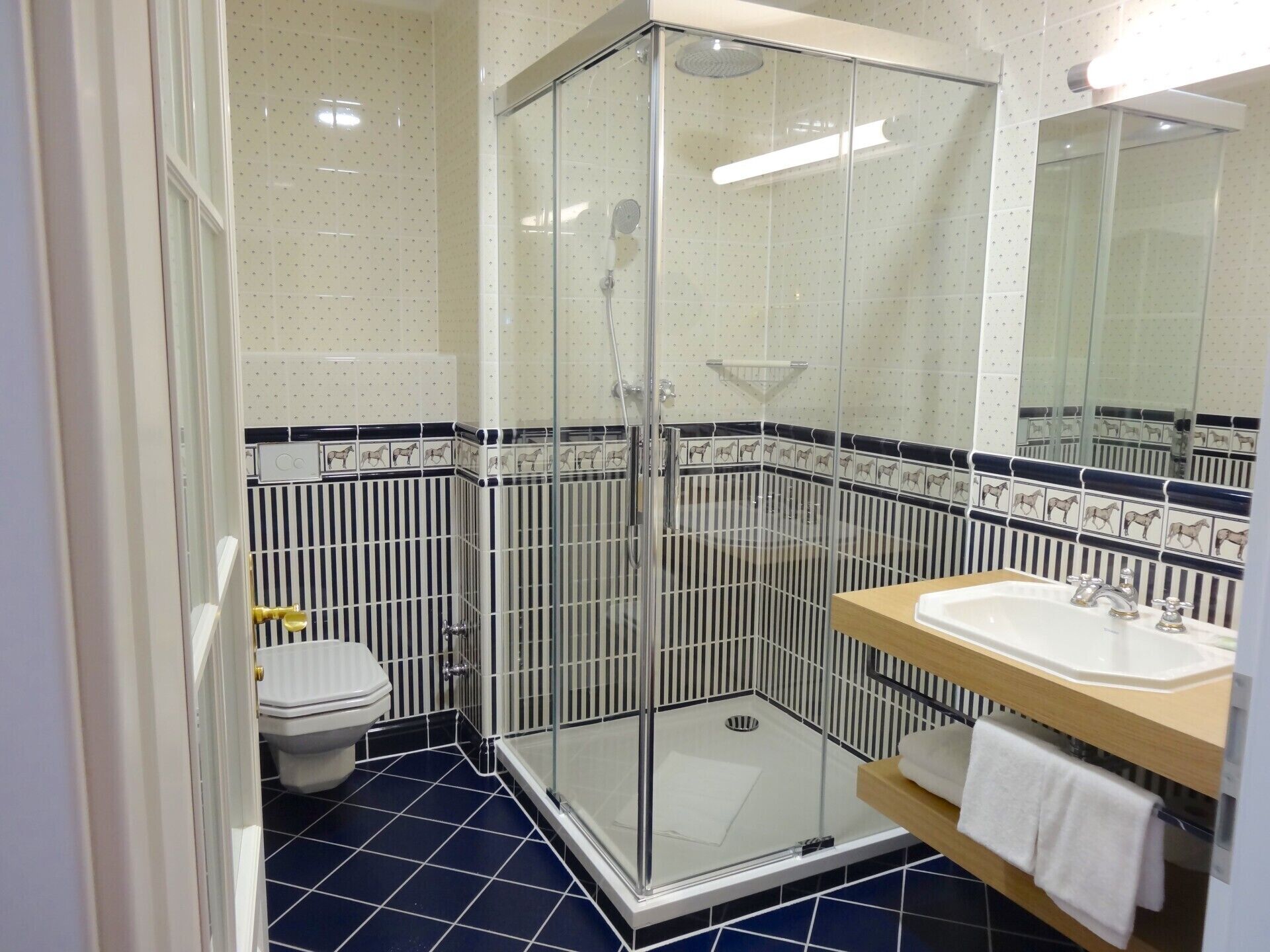 deluxe double room | bathroom | shower, free toiletries, hair dryer, towels