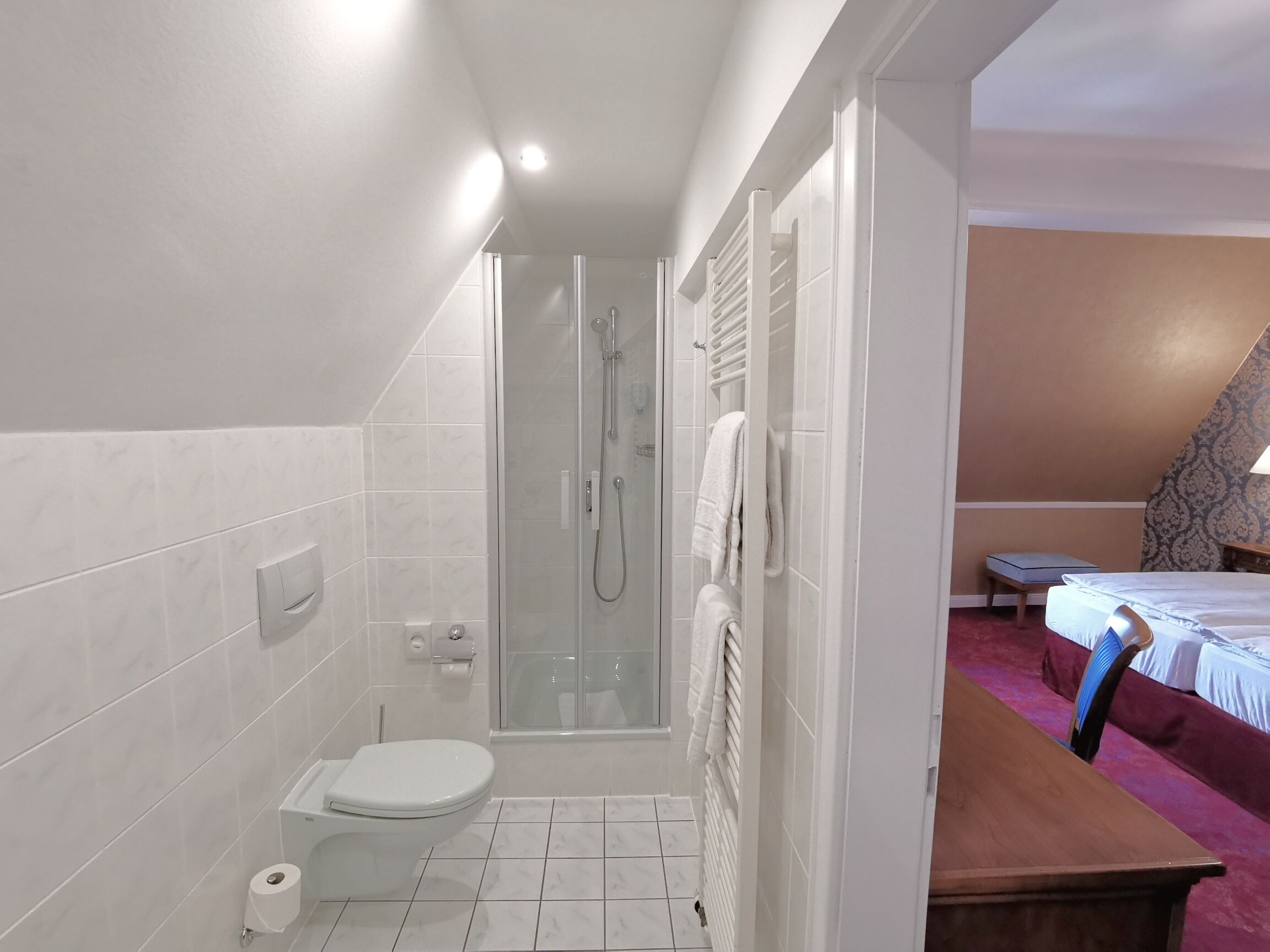 deluxe double room | bathroom | shower, free toiletries, hair dryer, towels